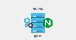 Plesk and NGINX Reverse Proxy: Impact on performance