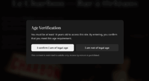 LRob – Age Gate, un plugin WordPress professionnel pour la vérification d’âge